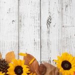 10 Captivating Sunflower Nail Art Ideas to Illuminate Your Style